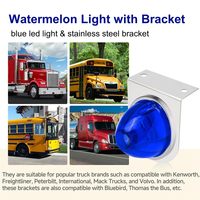Feux latéraux de signalisation LED pastèque 12V 24V, clignotants, indicateurs pour voiture, camion, remorque, fourgon, tracteur, camion, bus