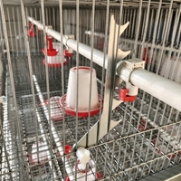Cage de couvaison pour poussins de type H, design vertical peu encombrant, 1 ensemble de système d'alimentation automatique pour élevage avicole