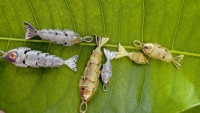 BMZ 2024 Nouveau pendentif poisson chance en cuivre or blanc 18 carats avec 6 options de taille