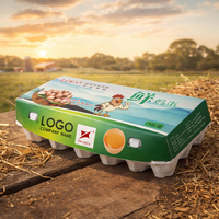 Maßgefertigte Umweltfreundliche Biologisch Abbaubare Recycelbare 18-Zellen Eierkartons aus Papierfasern mit Individuellem Logodruck, Robust und Langlebig