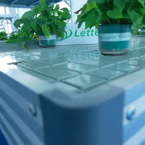 Dalam ruangan Multi lapisan 4ft X 8ft vertikal hidroponik Ebb dan aliran Mobile tumbuh rak sistem hortikultura tumbuh meja meja bergulir