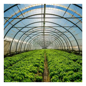 8x30m Agriculture Tomato <strong>Greenhouse</strong> Frames Plastic Film Single Span Tunnel <strong>Greenhouses</strong>
