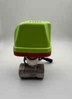 Válvula de Bola Eléctrica de 1 Pulgada con Cierre Automático, Detector de Fugas de Agua con Alarma y Control Remoto, Soporte OEM