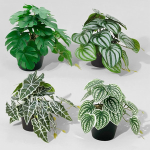 Plante Artificielle Meng Jie, Mini Plante en Pot Décorative, Feuilles de 10cm à 30cm, Décoration de Mariage et Maison, Base en Caoutchouc Souple, Fleur - Product Image 1