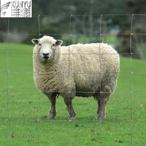 Clôture <span class=keywords><strong>pour</strong></span> moutons galvanisée de 50 m, maille progressive, 8, 9, 14 fils horizontaux, 1,9 mm, 2,5 mm, clôture de champ professionnelle <span class=keywords><strong>pour</strong></span> bétail - Product Image 1