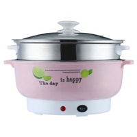Mini marmite électrique multifonctionnelle Grille de cuisson à la vapeur en acier inoxydable coloré pour la maison, l'hôtel ou l'extérieur