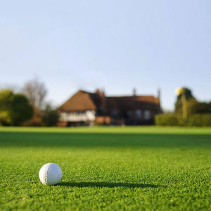 تركيب سهل مضاد للأشعة فوق البنفسجية في الهواء الطلق-Tapis Gazon Grass - Product Image 4