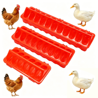 Mangeoire et abreuvoir en plastique durable pour volailles, poussins, pigeons, cailles, avec 12/18/22 trous, nouveau modèle long