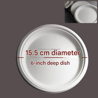 Assiettes jetables biodégradables en papier de 6 pouces, 100 % compostables, non blanchies, en bagasse de canne à sucre, pour fêtes, mariages et événements
