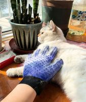 Gants de toilettage et de massage pour chiens et chats, accessoires quotidiens pour animaux de compagnie, vente en gros d'usine