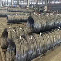 Produsen Cina Harga Rendah Baja Paduan Galvanis Celup Panas Untuk Konstruksi Z60 Z90 SWG13/SWG17 Tali Kawat
