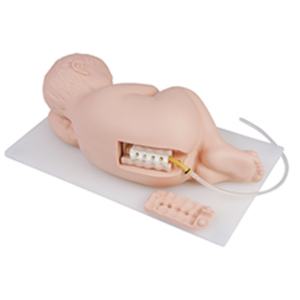 Modelo de Punción Lumbar Infantil, Maniquí de Punción Lumbar para Bebés, Simulador de Entrenamiento Médico Pediátrico - Product Image 1