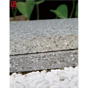 Gạch Granite Ngoài Trời Gạch Dày Cho Vườn