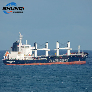 La línea especial DDP de transporte marítimo de China a Turquía puede recoger paquetes del proveedor Servicio de almacenamiento gratuito - Product Image 5