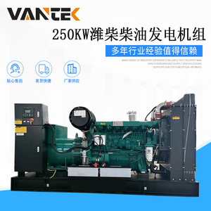 Groupe électrogène diesel Jiangsu Wantai 250 kW 320 kVA 50 Hz 1500 tr/min avec télécommande - Product Image 5