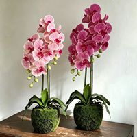 Plante d'orchidée Phalaenopsis artificielle en pot, arrangement floral en soie, fleur décorative rose imperméable pour la maison et le bureau