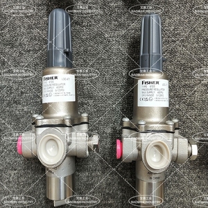 67DSR หรือ 67DFSR ตัวควบคุมการลดแรงดันแบบกรองที่ทำงานโดยตรง T14119T0102 ชุดประกอบไดอะแฟรมซิลิโคน - Product Image 6