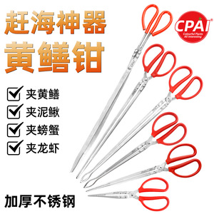 Pinces à anguilles en acier inoxydable épaissies antidérapantes pour la pêche au crabe et au homard, accessoires de pêche en mer et sur la plage - Product Image 5