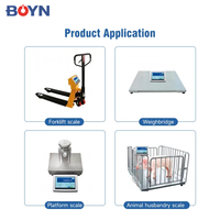 Contrôleur de pesage BNXY-IN Série BOYN, indicateur à écran tactile intelligent, acier inoxydable, étanche, OEM, capacité 10-30 kg, RS232/USB