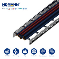 Échelle de câblage robuste Hdmann DNV ABS certifiée Offshore SS316L, traitée par marquage chimique et passivation, pour câblage de surface de FPSO