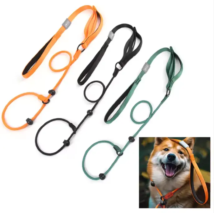 Vente en gros intégré réglable antidéflagrant en nylon P-chain laisse pour chien avec poignée épaissie