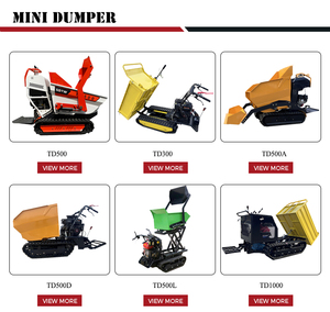 Vente flash : Mini-dumper sur chenilles <span class=keywords><strong>TD500</strong></span>, diesel/essence, avec certification CE EPA, 250 kg, 500 kg, 600 kg, 300 kg, 800 kg, 1000 kg, 1 tonne - Product Image 4