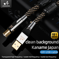 Câble USB HiFi de haute qualité, type A vers type B, pour DAC, moniteur et lecteur DVD, haut-parleur, mixeur, câble audio USB HiFi OFC