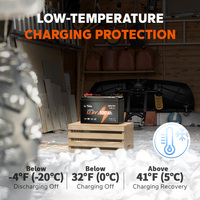 Batterie LiFePO4 LiTime 12V 100Ah à décharge profonde, légère, pour équipement de charge de bateaux, camping-cars, sécurité et stockage d'énergie domestique