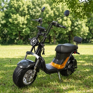 Hot Selling Brazil City Scooter 1000w 60v 20ah Lithium Battery Rear <b>Hub</b> Motor Aluminum Frame Digital Sensor X21 60v Voltage - Product Image 1