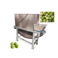 Machine à peler les feuilles de tomates vertes en acier inoxydable Mexique Amérique