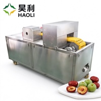 Automatische rode dadel ontpitmachine van roestvrij staal, olijf-, pruimen- en jujube-ontpitter voor fruitverwerkingsfabrieken