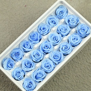Rosa Eterna Stabilizzata Grado B 2-3cm per Cupola di Vetro Fai da Te, Materiale per Teste di Fiori per San Valentino, Capodanno Cinese, Ringraziamento - Product Image 4