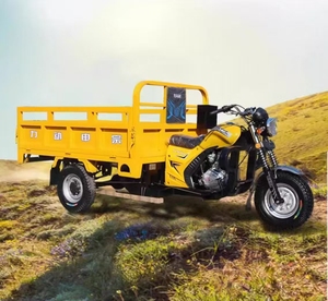 Triciclo a Gasolina de 150-200cc, Motocicleta de Carga Todoterreno para Uso Agrícola y Doméstico <span class=keywords><strong>en</strong></span> Carreteras Africanas - Product Image 6