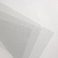 Feuille de plastique APET à haute transmission, film double face, résistant aux rayures, coloré, épaisseur 0,5 mm, taille personnalisée FXD