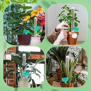 เสามอสพลาสติก30นิ้วแบบงอได้เป็นมิตรกับสิ่งแวดล้อมสำหรับรากอากาศแข็งแรง - Product Image 5