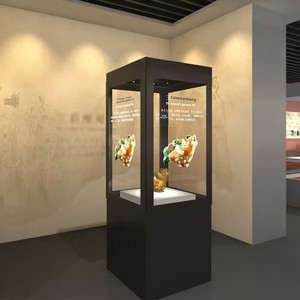 Vitrina Interactiva con Pantalla Táctil OLED Transparente de 30/55 Pulgadas para Objetos Culturales y Museos de Arte - Product Image 1