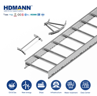 Échelle à câbles en acier au carbone électrogalvanisé de 300 mm, certifiée Hdmann SGS, de qualité moyenne, pour le routage de câbles dans les usines de semi-conducteurs