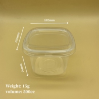 Sulide Nouvelles Tendances Carré En Plastique Pot De Yaourt En Plastique 500ml Transparent PP Tasses De Yaourt Grec avec Couvercles
