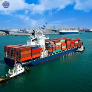 Oceano venditori di container cina a Omaha, USA da Guangdong/Hubei/Zhejiang/Chongqing/Fujian 20/40 piedi contenitore