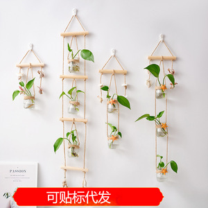 Maceta Colgante de Vidrio para Plantas Hidropónicas, Decoración de Pared, Maceta Pequeña para Plantas de Interior, Decoración Ecológica para el Hogar, Adorno Verde - Product Image 5