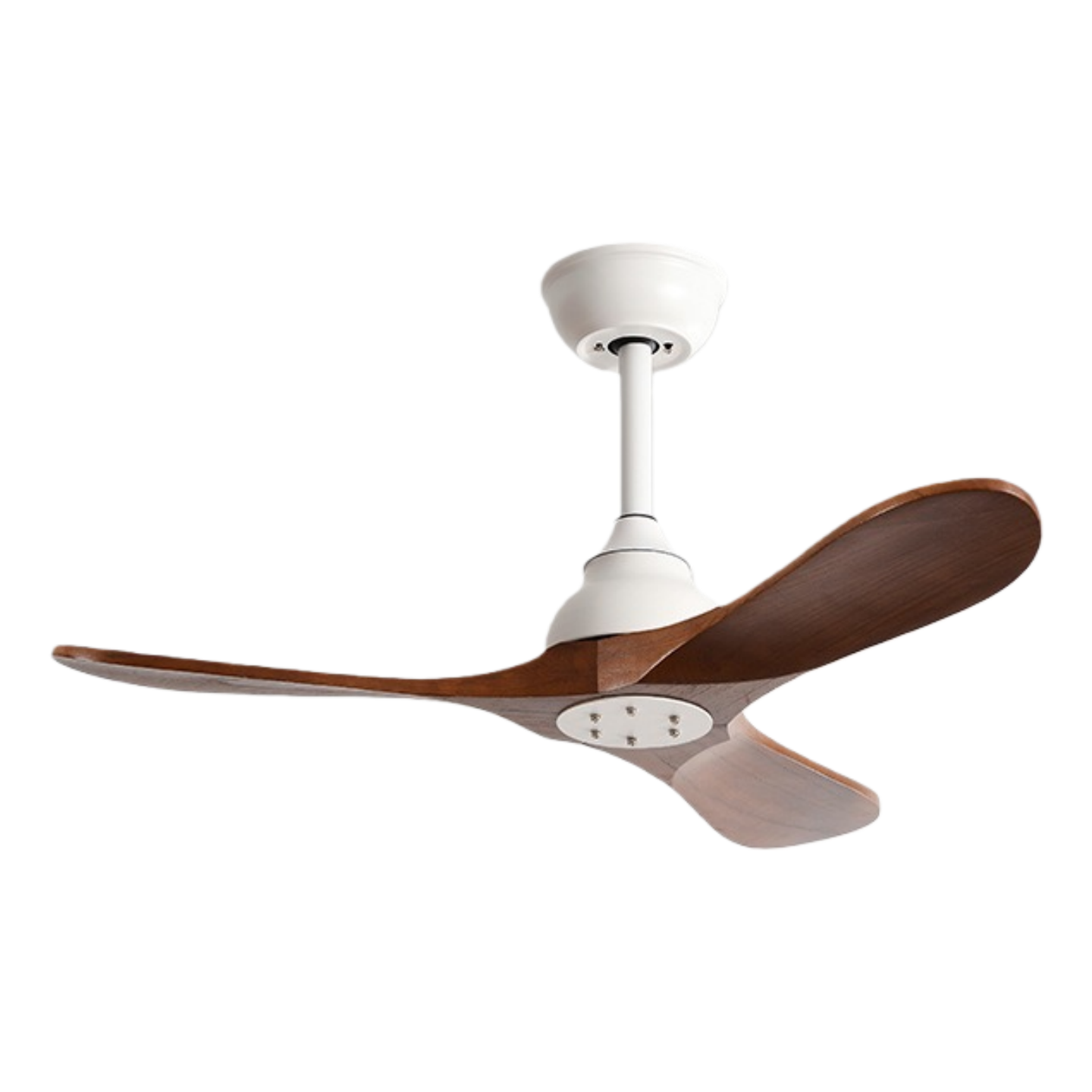 วอลนัทขาว