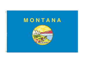 Bandera de la amistad de América México de 3x5 pies Color vivo y encabezado de lona a prueba de decoloración Amistad para <span class=keywords><strong>siempre</strong></span> Bandera MX de EE. UU. - Product Image 4