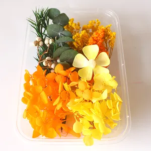 DIY Dried Flowers And Plants Packed in Box Dry Flowers For Resin Scentled Candle Making Home Decoration