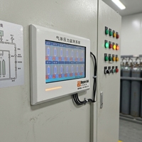 Dokunmatik Ekranlı Yüksek Hassasiyetli Çok Kanallı Silindir Gaz Basıncı Gerçek Zamanlı İzleme Ses+Işık Alarm Kontrol Cihazı