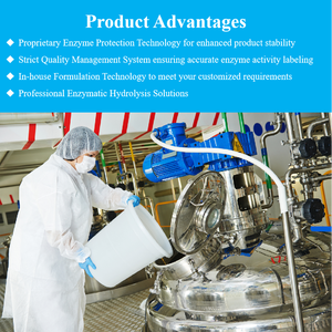 ผงไลโซไซม์คลอไรด์ความบริสุทธิ์สูง (เกรดอาหารจากไข่ขาว)-สารกันบูดธรรมชาติสำหรับชีสและไวน์ - Product Image 4