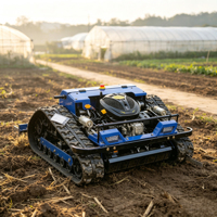 Mesin Pemotong Rumput Industri RC, Pengendali Jarak Jauh, Pemotong Gulma, Pemangkas Rumput Robot Cerdas, Bertenaga Bensin, Bersertifikasi CE, Pabrik