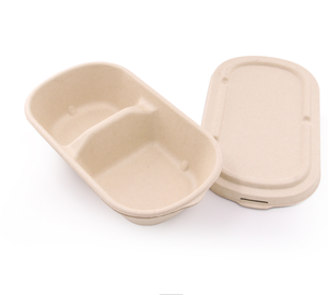 Takeaway Fast Food Packaging Boxes with Lid Compostable Sugarcane Container Biodegradable Box Nature Bagasse Pulp Moulding
