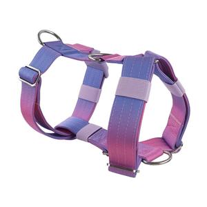 인기있는 맞춤형 로고 조정 가능한 개 스트랩 세트 부드러운 통기성 고무 개 가죽 끈 세트 - Product Image 4