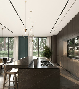 Tủ Bếp Nội Thất Nhà Bếp Cho Căn Hộ Thiết Kế Đơn Giản Bằng Thép Không Gỉ Bộ Tranh Sơn Mài Hiện Đại 15 Năm - Product Image 6