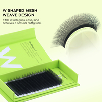 Extensions de cils en forme de W, volume multi-niveaux, tissage individuel, noir mat, cils 3D 4D W